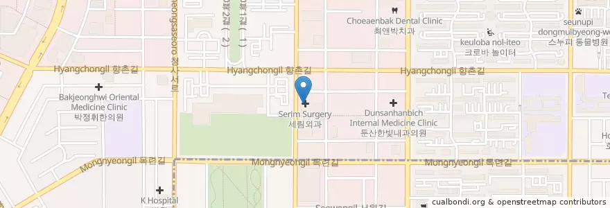 Mapa de ubicacion de 세림외과 en Республика Корея, Тэджон, 서구, 둔산동.