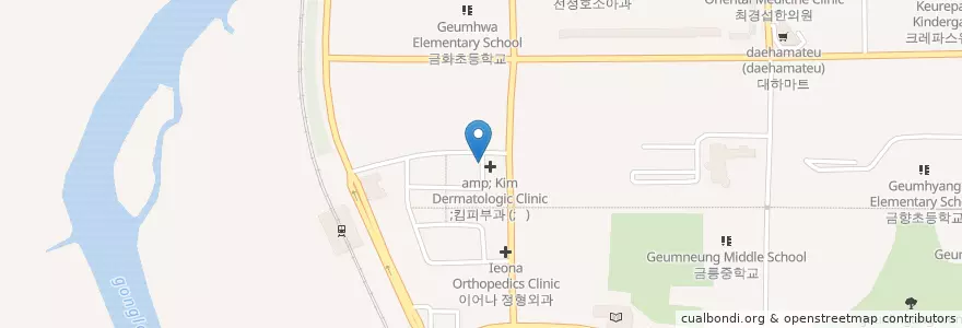 Mapa de ubicacion de 한사랑 이비인후과 en كوريا الجنوبية, 경기도, 파주시, 금촌2동.