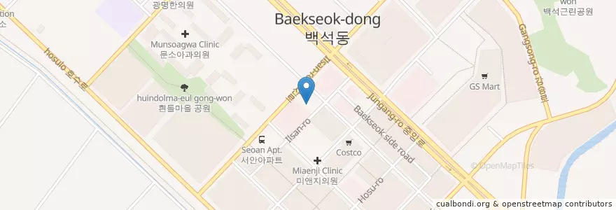 Mapa de ubicacion de 백세정형외과 en Coreia Do Sul, Gyeonggi, 고양시, 일산동구.