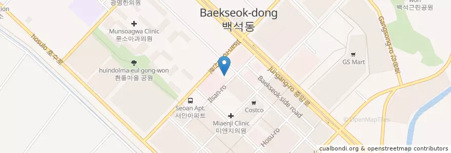 Mapa de ubicacion de 튼튼동물병원 en 大韓民国, 京畿道, 高陽市, 一山東区.