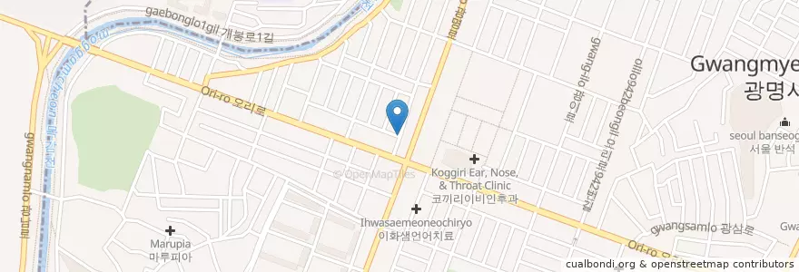 Mapa de ubicacion de 미래정형외과의원 en Corée Du Sud, Gyeonggi, 광명시.