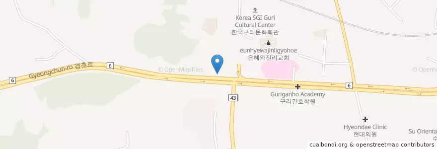 Mapa de ubicacion de 아마존동물병원 en 大韓民国, 京畿道, 九里市.
