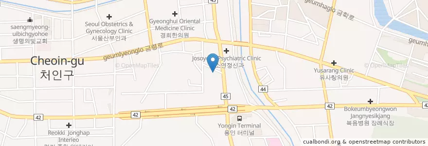 Mapa de ubicacion de 금란산부인과 en Güney Kore, 경기도, 용인시, 처인구.