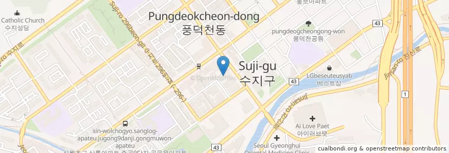 Mapa de ubicacion de 와이즈병원 en Республика Корея, Кёнгидо, 용인시, 수지구.