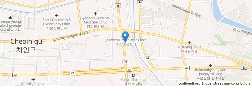 Mapa de ubicacion de 다솜이비인후과 en 대한민국, 경기도, 용인시, 처인구.