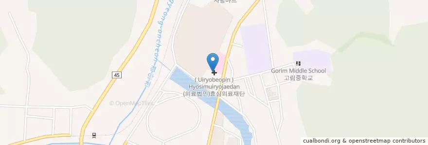 Mapa de ubicacion de (의료법인)효심의료재단 en Республика Корея, Кёнгидо, 용인시, 처인구.
