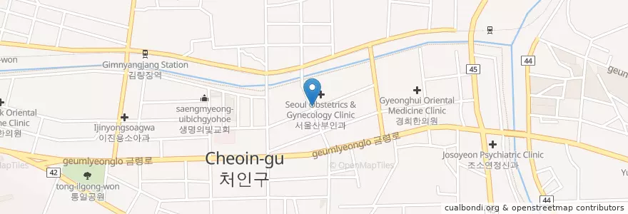 Mapa de ubicacion de 약손한의원 en Zuid-Korea, Gyeonggi-Do, 용인시, 처인구.