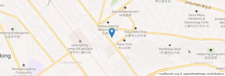 Mapa de ubicacion de 펫25시동물병원 en Corea Del Sud, Gyeonggi, 평택시.