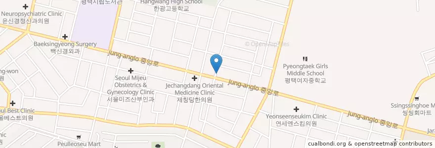 Mapa de ubicacion de 코리아 동물병원 en Corée Du Sud, Gyeonggi, 평택시.