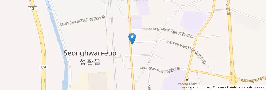 Mapa de ubicacion de 강홍구정형외과 en Corea Del Sur, Chungcheong Del Sur, 천안시, 서북구, 성환읍.