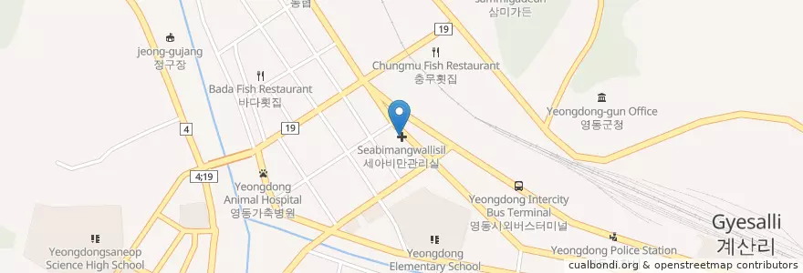 Mapa de ubicacion de 세아비만관리실 en Coreia Do Sul, Chungcheong Do Norte, 영동군.