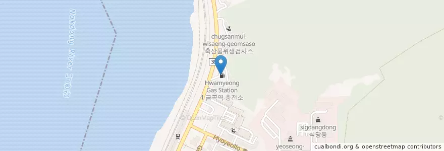 Mapa de ubicacion de E1 금곡역 충전소 en Corée Du Sud, Busan, 북구, 금곡동.
