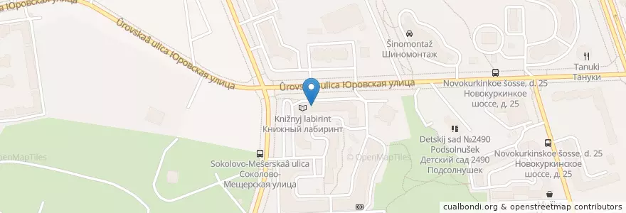Mapa de ubicacion de Детский клуб «Звёздочка» en Russia, Central Federal District, Moscow, North-Western Administrative Okrug, Kurkino District.