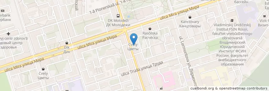 Mapa de ubicacion de Будь здоров! en Rusia, Distrito Federal Central, Óblast De Vladímir, Городской Округ Владимир.