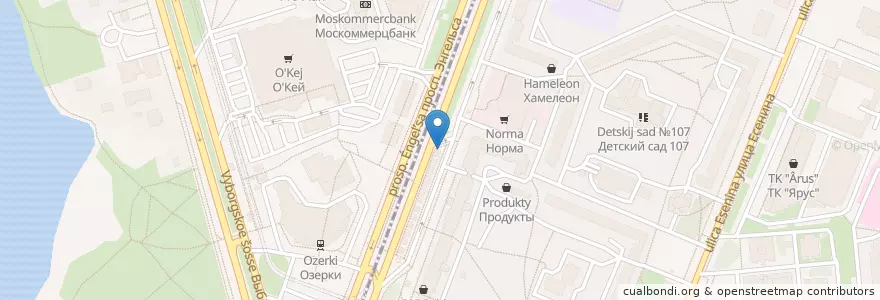 Mapa de ubicacion de Тандыр en Russia, Northwestern Federal District, Leningrad Oblast, Saint Petersburg, Vyborgsky District.