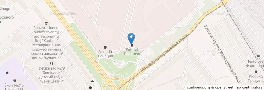 Mapa de ubicacion de Пельмеш en Russie, District Fédéral Du Nord-Ouest, Oblast De Léningrad, Saint-Pétersbourg, Фрунзенский Район, Округ Волковское.