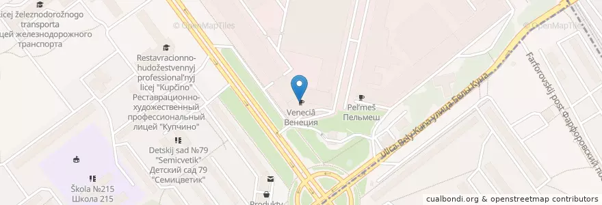 Mapa de ubicacion de Венеция en Russie, District Fédéral Du Nord-Ouest, Oblast De Léningrad, Saint-Pétersbourg, Фрунзенский Район, Округ Волковское.