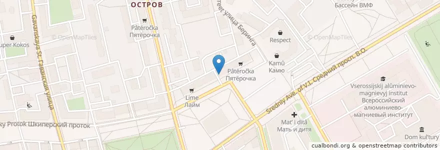 Mapa de ubicacion de Невис en Russia, Northwestern Federal District, Leningrad Oblast, Saint Petersburg, Василеостровский Район, Округ Гавань.