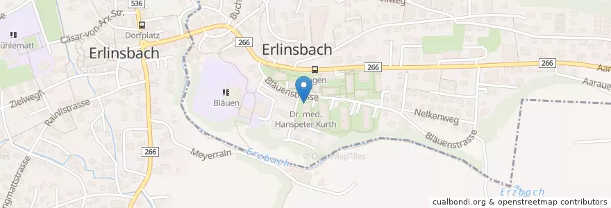 Mapa de ubicacion de Dr. med. Hanspeter Kurth en Schweiz, Aargau, Erlinsbach (Ag), Bezirk Gösgen, Erlinsbach (So).