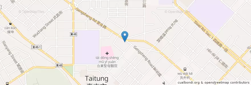 Mapa de ubicacion de 有時散步早午食 en 台湾, 台湾省, 台東県, 台東市.