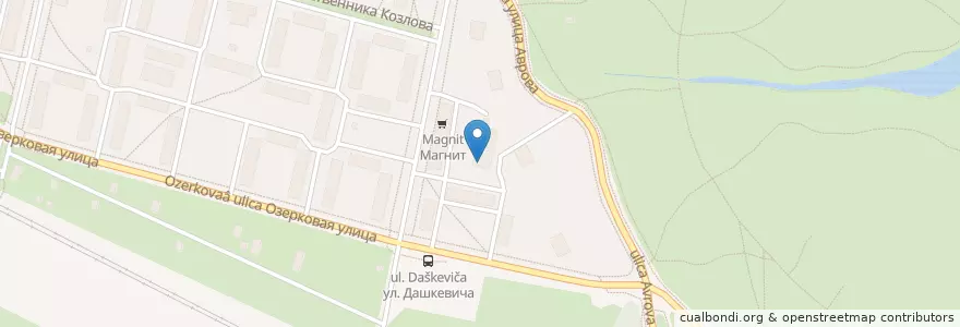 Mapa de ubicacion de Пузыри en Russia, Northwestern Federal District, Leningrad Oblast, Saint Petersburg, Петродворцовый Район, Peterhof.