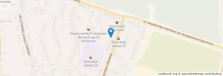 Mapa de ubicacion de Аптека №6 en Rusia, Приволжский Федеральный Округ, Óblast De Nizhni Nóvgorod, Городской Округ Саров.