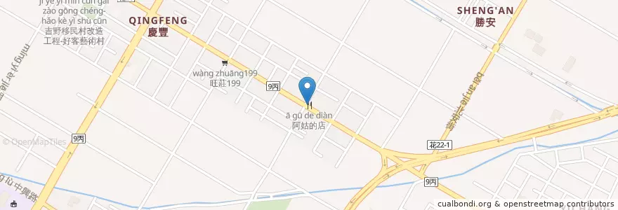 Mapa de ubicacion de 阿姑的店 en Taiwan, 臺灣省, Condado De Hualien, 吉安鄉.