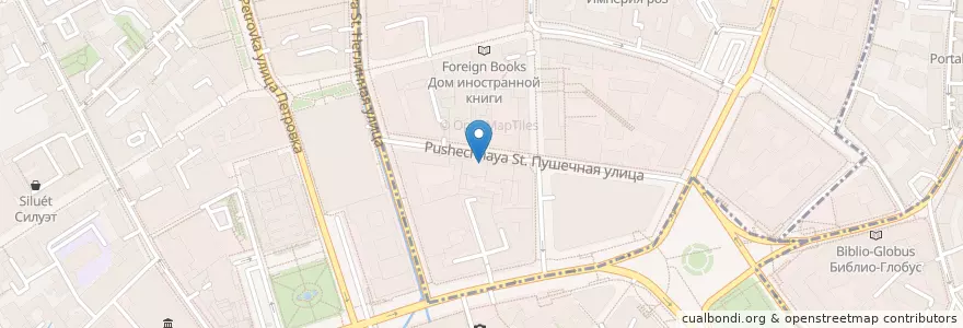 Mapa de ubicacion de Sapiens en Rusland, Centraal Federaal District, Moskou, Центральный Административный Округ, Тверской Район.