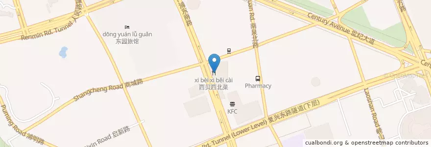 Mapa de ubicacion de coco屋 en 中国, 上海市, 浦东新区.