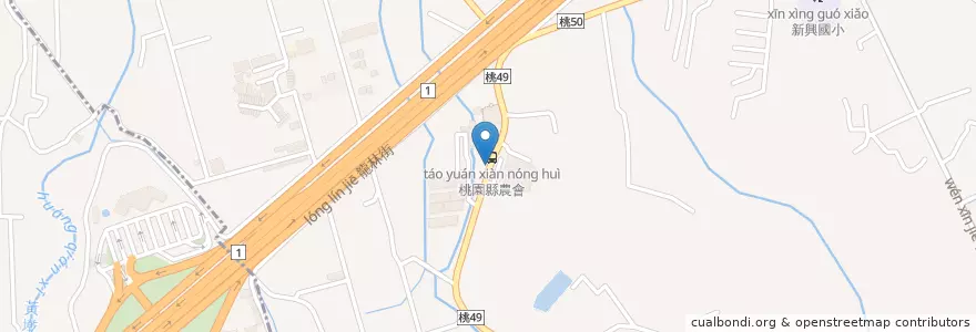 Mapa de ubicacion de 無極奉紫宮 en Taiwan, Taoyuan, Distretto Di Luzhu.