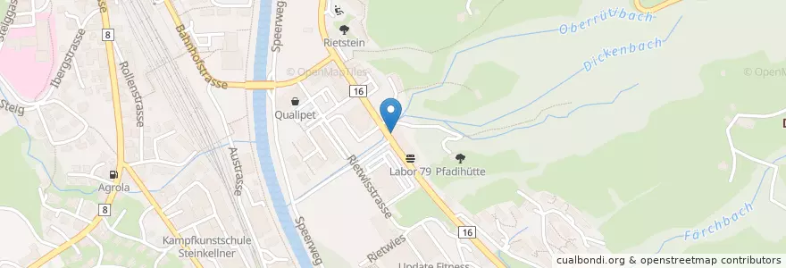 Mapa de ubicacion de Neurologie Toggenburg en Schweiz/Suisse/Svizzera/Svizra, Sankt Gallen, Wahlkreis Toggenburg, Wattwil.