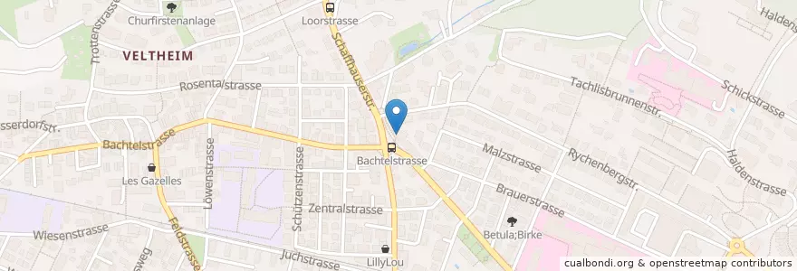 Mapa de ubicacion de Praxis am Lindspitz en Suiza, Zúrich, Bezirk Winterthur, Winterthur.