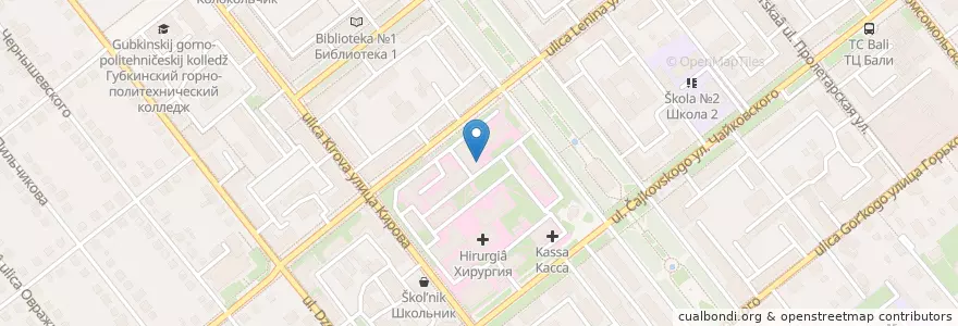 Mapa de ubicacion de Рентгено диагностическое отделение en Rusia, Distrito Federal Central, Óblast De Bélgorod, Губкинский Городской Округ.
