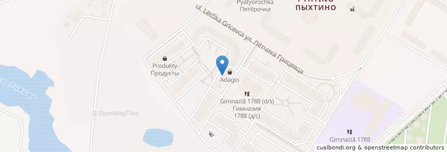 Mapa de ubicacion de Элекснет en روسيا, Центральный Федеральный Округ, Москва, Новомосковский Административный Округ, Поселение Внуковское.