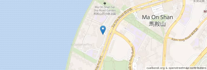 Mapa de ubicacion de McDonald's en China, Hong Kong, Provincia De Cantón, Nuevos Territorios, 沙田區 Sha Tin District.