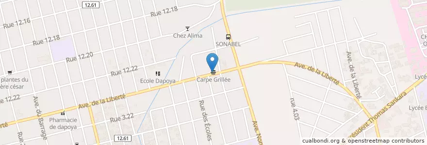 Mapa de ubicacion de Carpe Grillée en 布基纳法索, Centre, Kadiogo, 瓦加杜古.