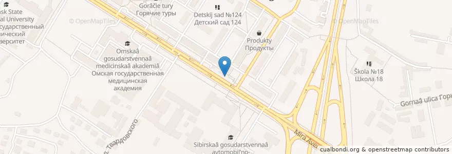 Mapa de ubicacion de Настоящая шаурма en Rusia, Distrito Federal De Siberia, Omsk, Омский Район, Городской Округ Омск.