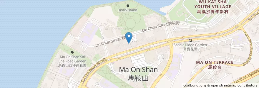 Mapa de ubicacion de 東亞銀行 BEA en Китай, Гонконг, Гуандун, Новые Территории, 沙田區 Sha Tin District.