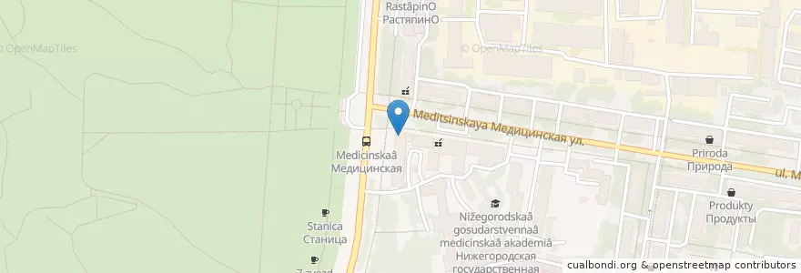 Mapa de ubicacion de Женева en Russia, Circondario Federale Del Volga, Нижегородская Область, Городской Округ Нижний Новгород.