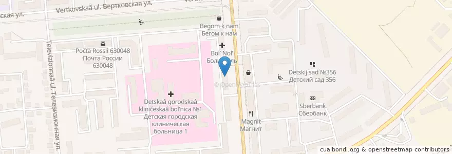 Mapa de ubicacion de Первое поликлиническое отделение en Russia, Siberian Federal District, Novosibirsk Oblast, Novosibirsk.