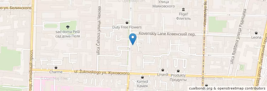 Mapa de ubicacion de Jawsspot en ロシア, 北西連邦管区, レニングラード州, サンクト ペテルブルク, Центральный Район, Литейный Округ.