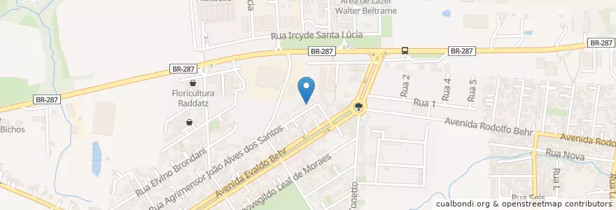 Mapa de ubicacion de Animed en ブラジル, 南部地域, リオグランデ・ド・スル, Região Geográfica Intermediária De Santa Maria, Região Geográfica Imediata De Santa Maria, Santa Maria.