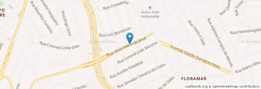 Mapa de ubicacion de Pizzaria e churrascaria Floramar en 巴西, 东南部, 米纳斯吉拉斯, Região Geográfica Intermediária De Belo Horizonte, Região Metropolitana De Belo Horizonte, Microrregião Belo Horizonte, 贝洛奥里藏特.