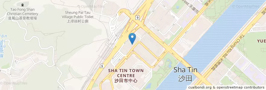 Mapa de ubicacion de 花旗銀行沙田分行 en 中国, 广东省, 香港, 新界, 沙田區.