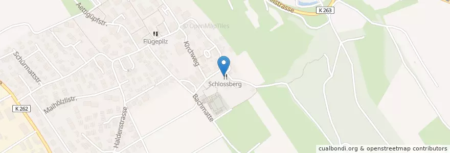 Mapa de ubicacion de Schlossberg en Schweiz, Aargau, Bezirk Bremgarten, Zufikon.