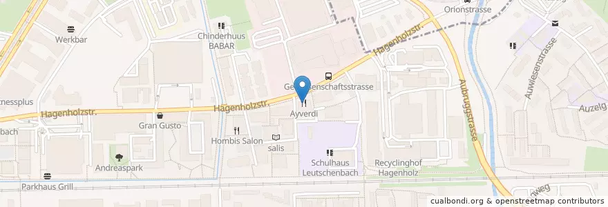 Mapa de ubicacion de Ayverdi's en Switzerland, Zurich, District Zurich, Zurich.