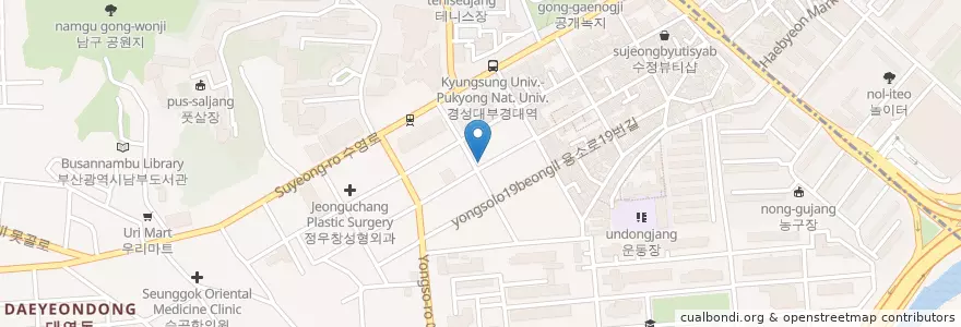 Mapa de ubicacion de selfBar en 대한민국, 부산, 남구, 대연동.