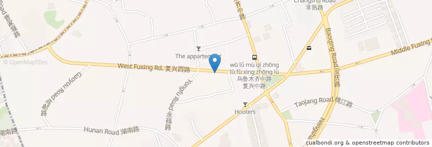 Mapa de ubicacion de Salute Wine Bar en 中国, 上海市.