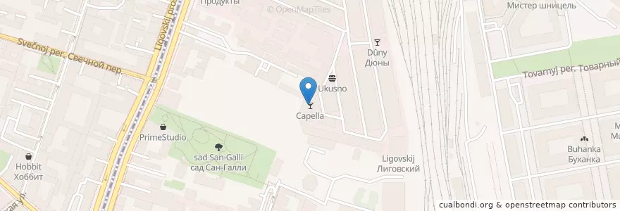 Mapa de ubicacion de Capella en ロシア, 北西連邦管区, レニングラード州, サンクト ペテルブルク, Центральный Район, Округ Лиговка-Ямская.