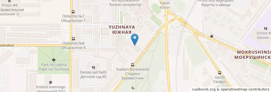 Mapa de ubicacion de Южное en Russie, District Fédéral Sibérien, Oblast De Tomsk, Томский Район, Городской Округ Томск.
